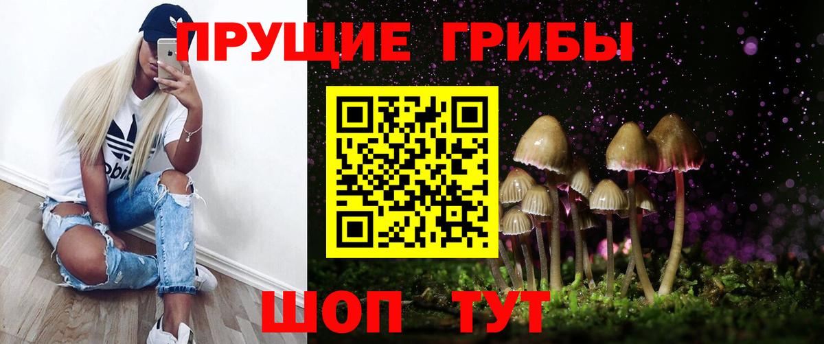 Иваново  Псилоцибиновые грибы GOLDEN TEACHER  Галлюциногенные грибы MAGIC MUSHROOMS  Вход с VPN 